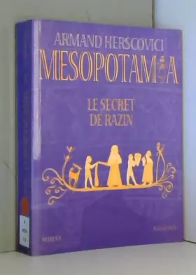 Couverture du produit · Mesopotamia, Tome 2 : Le secret de Razin