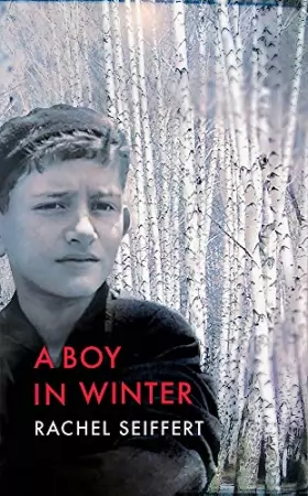 Couverture du produit · A Boy in Winter