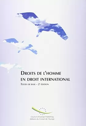 Couverture du produit · DROITS DE L'HOMME EN DROIT INTERNATIONAL