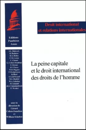 Couverture du produit · la peine capitale et le droit international des droits de l'homme: CONTRIBUTIONS EN FRANÇAIS ET EN ANGLAIS