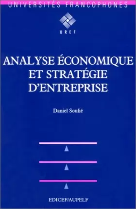 Soulie - Analyse économique et stratégie d'entreprise