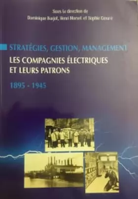 Couverture du produit · Stratégies, gestion, management : Actes du 12e Colloque de l'Association pour l'histoire de l'électricité de France, les 3, 4 e