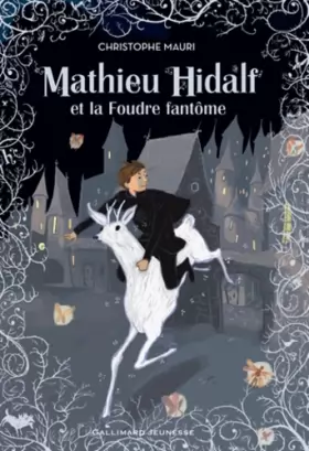 Couverture du produit · Mathieu Hidalf, 2 : Mathieu Hidalf et la Foudre fantôme