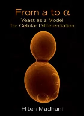 Couverture du produit · From a to A: Yeast As a Model for Cellular Differentiation
