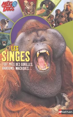 Couverture du produit · Les Singes : Tout près des gorilles, babouins, macaques