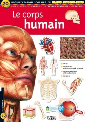Couverture du produit · Le corps humain : Documentation scolaire en images autocollantes - Dès 7 ans ( périmé )
