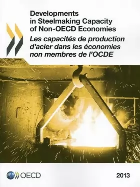 Couverture du produit · Developments in Steelmaking Capacity of Non-Oecd Economies 2013: Edition 2013