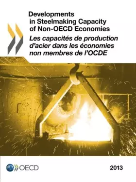 Couverture du produit · Developments in Steelmaking Capacity of Non-Oecd Economies 2013: Edition 2013