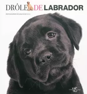 Couverture du produit · DROLE DE LABRADOR
