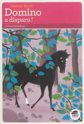 Couverture du produit · Domino a disparu