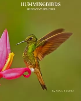 Couverture du produit · Hummingbirds: Iridescent beauties
