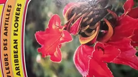 Couverture du produit · Fleurs des Antilles : Caribbean flowers (Faune et flore des tropiques)