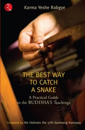 Couverture du produit · The Best Way to Catch a Snake: A Practical Guide to the Buddha's Teachings