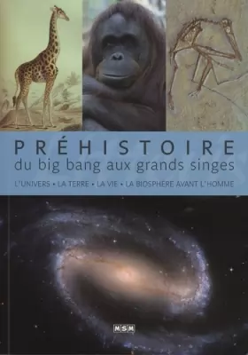 Couverture du produit · Préhistoire, du big bang aux grands singes: L'univers, la Terre, la vie, la biosphère avant l'Homme