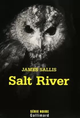 Couverture du produit · Salt River: Une enquête de John Turner