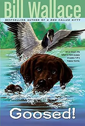 Couverture du produit · Goosed!