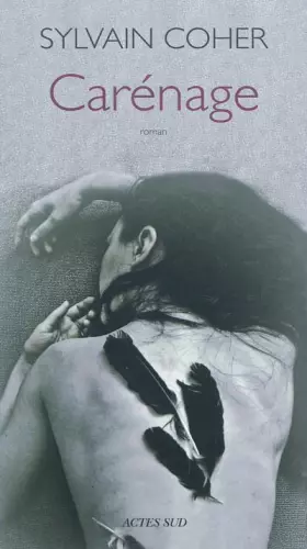 Couverture du produit · Carénage