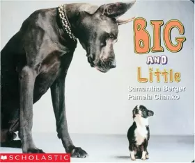 Couverture du produit · Big And Little