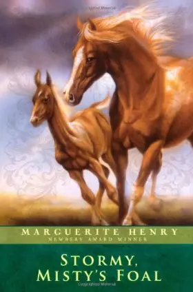 Couverture du produit · Stormy, Misty's Foal