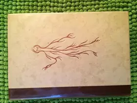 Couverture du produit · L'homme à la découverte de son corps