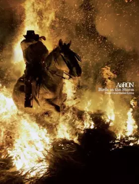 Couverture du produit · Birds In Storm P/V/G