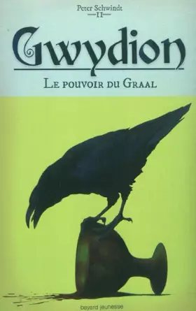 Couverture du produit · Pouvoir du graal (le) - gwydion t2