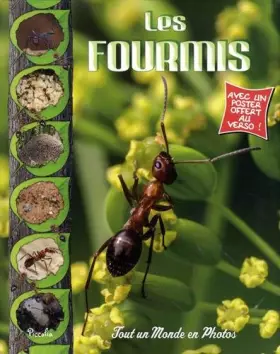 Couverture du produit · Les fourmis: Avec un poster offert au verso !