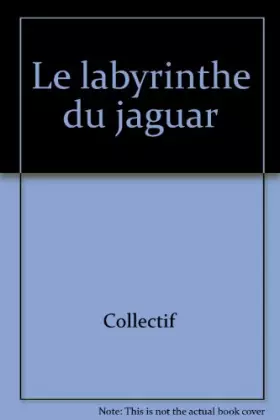 Couverture du produit · Le labyrinthe du jaguar