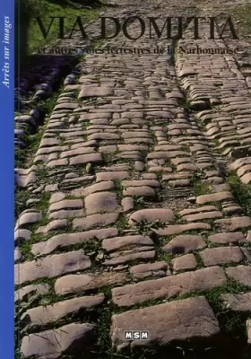 Couverture du produit · Via Domitia : Et autres voies terrestres de la Narbonnaise