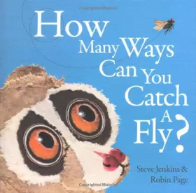 Couverture du produit · How Many Ways Can You Catch a Fly?