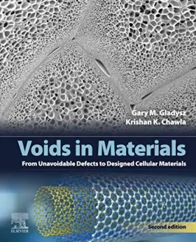 Couverture du produit · Voids in Materials: From Unavoidable Defects to Designed Cellular Materials