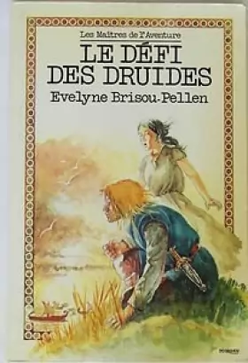 Couverture du produit · Le defi des druides (Rag.V.Abandon)