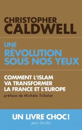 Couverture du produit · Une révolution sous nos yeux :  Comment l'islam va transformer la France et l'Europe