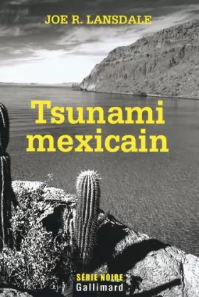 Couverture du produit · Tsunami mexicain: Une enquête de Hap Collins et Leonard Pine