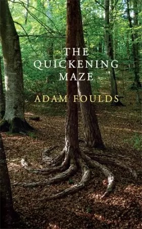 Couverture du produit · The Quickening Maze