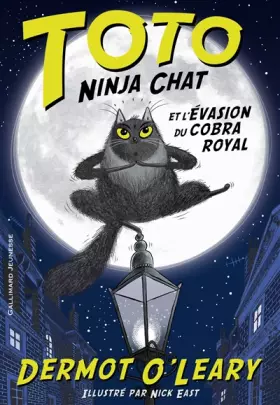 Couverture du produit · TOTO NINJA CHAT ET L'EVASION DU COBRA ROYAL - Roman cadet - A lire dès 8 ans