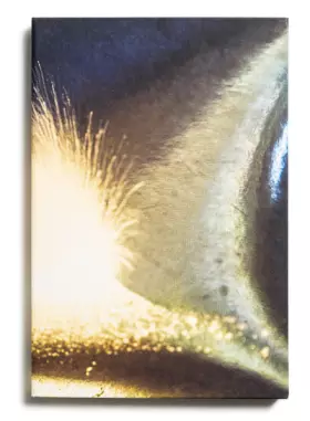 Couverture du produit · Echoes of nature