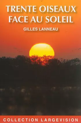 Couverture du produit · Trente oiseaux face au soleil