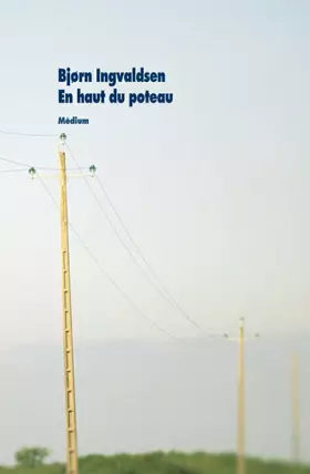 En haut du poteau - Bjorn Ingvaldsen et Jean-Baptiste Coursaud