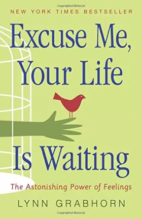 Couverture du produit · Excuse Me, Your Life Is Waiting: The Astonishing Power of Feelings