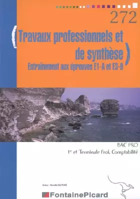 Couverture du produit · Travaux professionnels et de synthèse 1e et Tle Bac pro comptabilité: Entraînement aux épreuves E1-A et E3-B