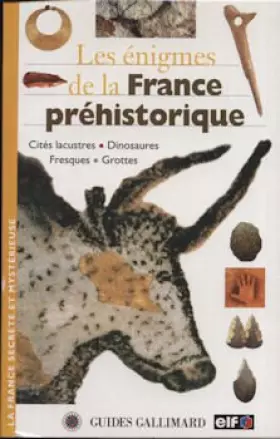 Couverture du produit · Les Énigmes de la France préhistorique