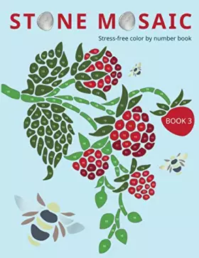 Couverture du produit · STONE MOSAIC. BOOK 3: Stress-free color by number book.