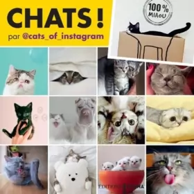 Couverture du produit · Chats d'Instagram