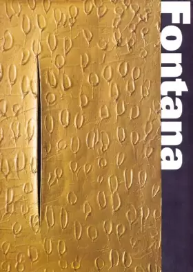 Couverture du produit · Fontana. Luce e colore. Ediz. illustrata