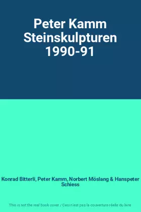 Couverture du produit · Peter Kamm Steinskulpturen 1990-91