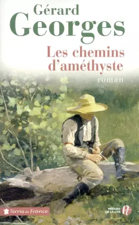 Couverture du produit · Les Chemins d'améthyste
