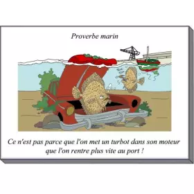 Couverture du produit · Ouïes-dire et récits natatoires - Repasse-moi le sel, s'il te plaît.