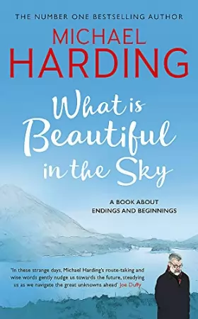 Couverture du produit · What is Beautiful in the Sky: A book about endings and beginnings