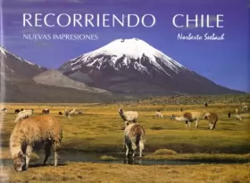 Couverture du produit · Recorriendo Chile Nuevas Impressiones, Travelling Through Chile New Impressions, Unterwegs in Chile Neue Eindrucke